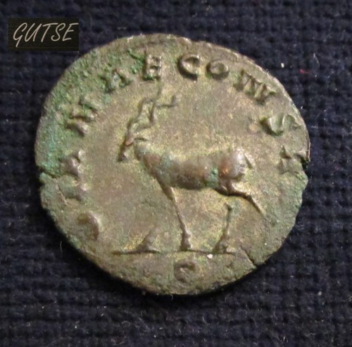 Gutse roma gallienus - gutse, roma-72,