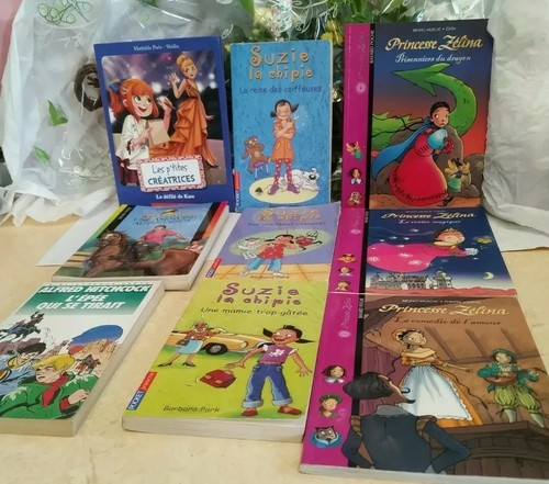 Lot livres princesse - lot,