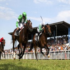 METHODE de TURF : THE