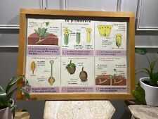 Carte Affiche Scolaire MDI 