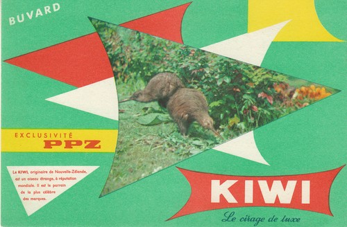 Buvard vintage kiwi - vintage,