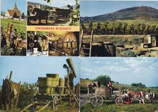 Lot de 4 cartes postales