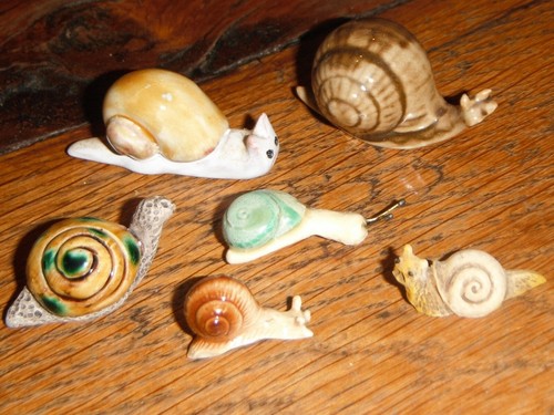 Escargot famille 6 - escargot,  famille