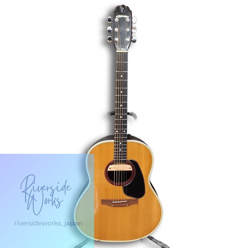 Applause acoustic guitar - applause,