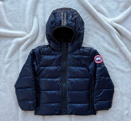 Canada goose atlantic - canada,