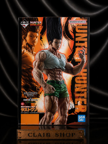Hunter gon freecss - hunter,