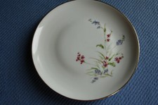 Lot de 10 assiettes à dessert