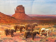 Playmobil Western  Indiens /