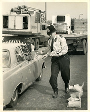 Royaume-uni, Bexley, Norman