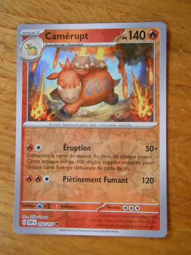 Carte pokémon holo reverse - pokémon,