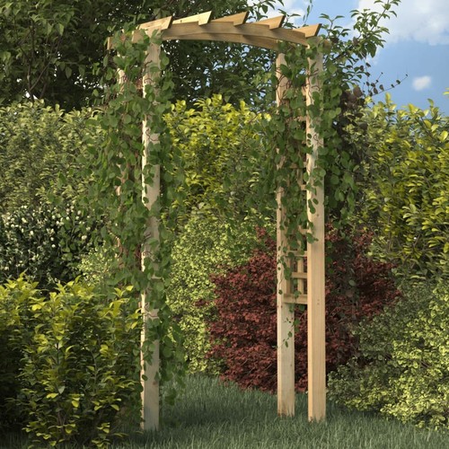 Arche treillis 110x60x210 - arche, en