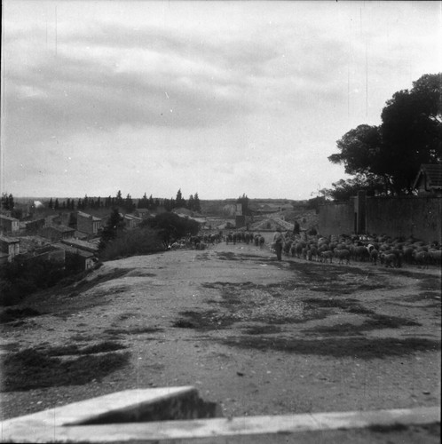 Saint gilles 1947 - saint,
