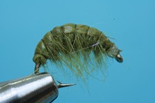 Fliegentom Nymphe 3 piéces