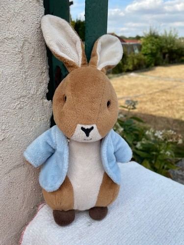 Peluche pierre lapin - pierre,