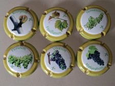 Capsule de Champagne Du Mont