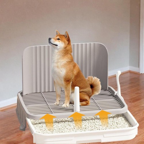 Chien pottery tray - tray, puppy