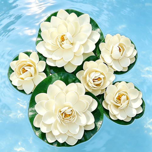 Plantes nénuphar fleurs - plantes,