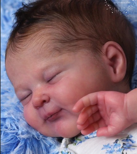 Diy reborn doll - 19",