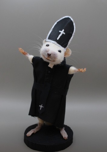 Taxidermie souris prêtre - taxidermie,