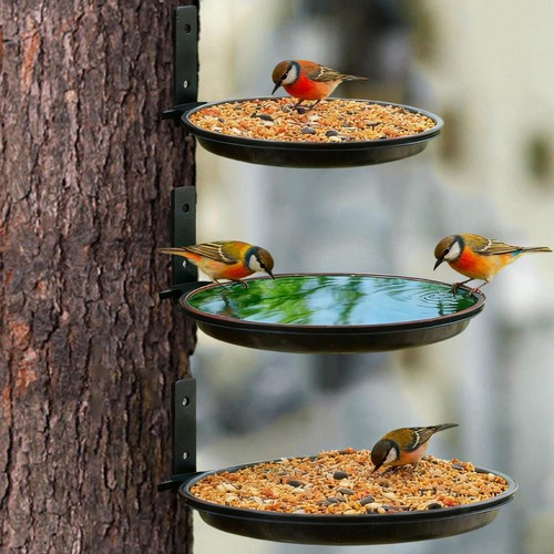 Mangeoire oiseaux montée - à,