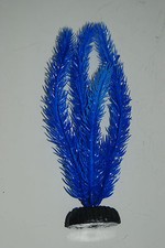 Plante D'Aquarium Cornifle