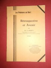 Les peintures au brai