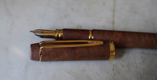 Stylo plume waterman man - man, 100