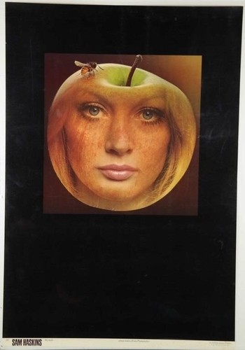 Sam haskins big - haskins, apple