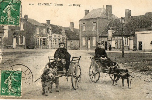 Sennely attelage chien - attelage,