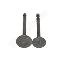 VANNE POUR ROBIN EY20