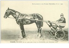 hippisme.n°35966.juarez.bai