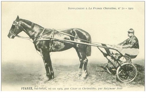 hippisme.n°35966.juarez.bai