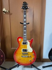 Electric Guitar Samick Greg