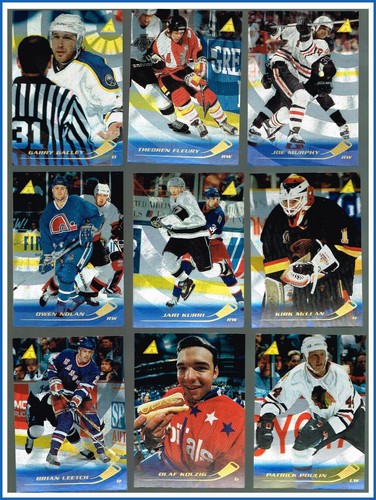1995 pinnacle rink - 1995-96,