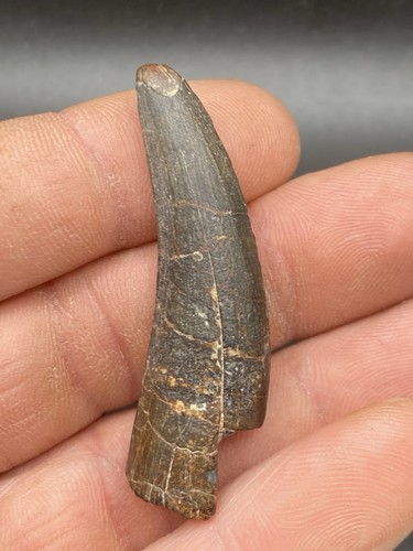 2 cm nice - 2.04''/,