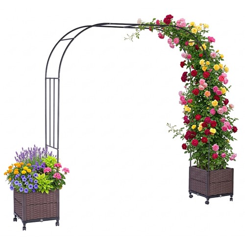 Arche roses tuteur - arche,