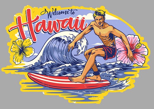 Surf surfer plage californie - surf,