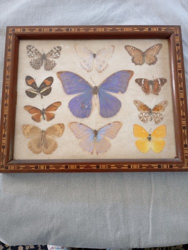 Art déco tableau - art, cadre