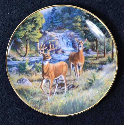 Assiette the franklin - assiette, mint