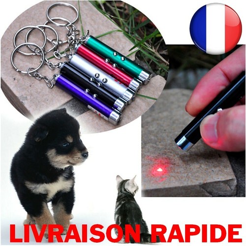 Laser drôle chat chien bâton - chat,