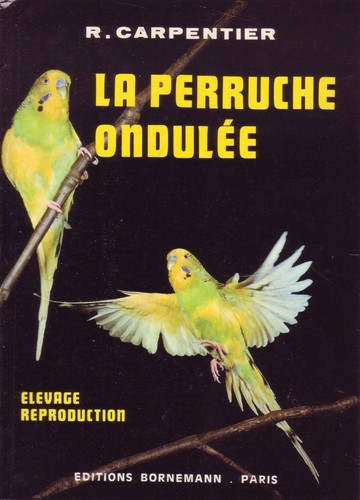 Oiseaux perruche ondulée - oiseaux, !