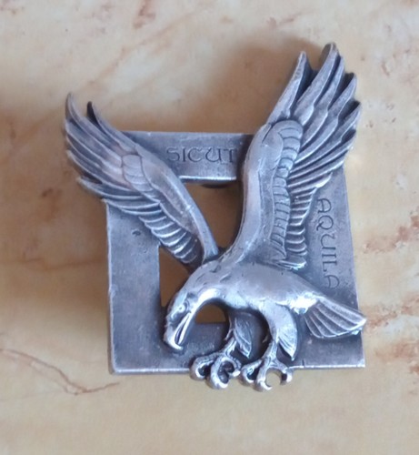 Insigne air escadron de - -,