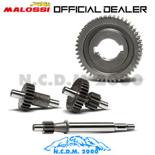 Malossi 6719286 Engrenages
