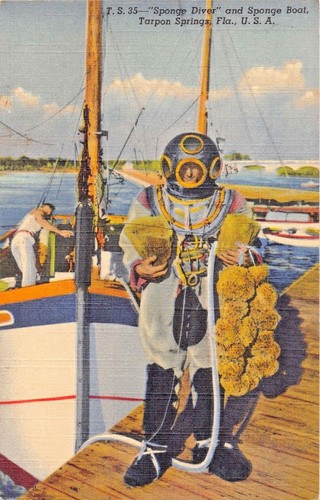Tarpon ressorts floride - tarpon,