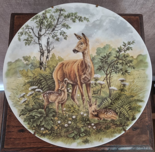 Grand plat limoges - grand,