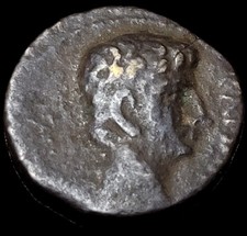 Bronze Au Taureau Semis