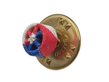 W5C/07/2025 (REF26054) Boutonniere Palmes académiques FRENCH MEDAL order