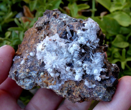 Aragonite aciculaire calcite - aciculaire, &