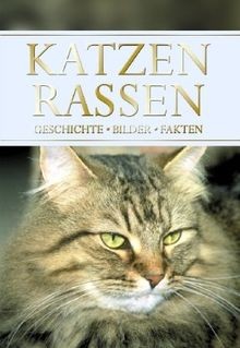 Races chats histoire photos - histoire,
