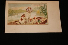 CHIEN EPAGNEUL  ETAB